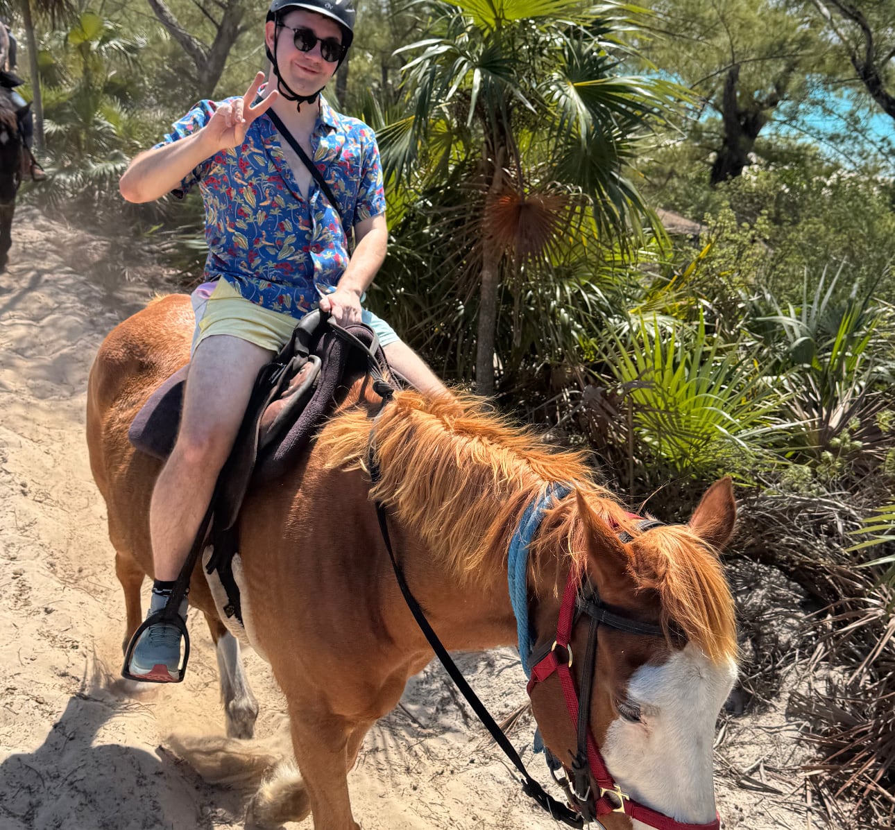 I'm on a horse